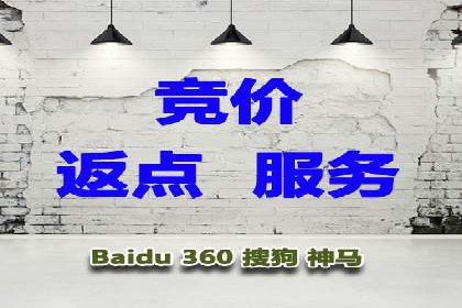 精准投放，高效转化——SEM竞价推广案例分享